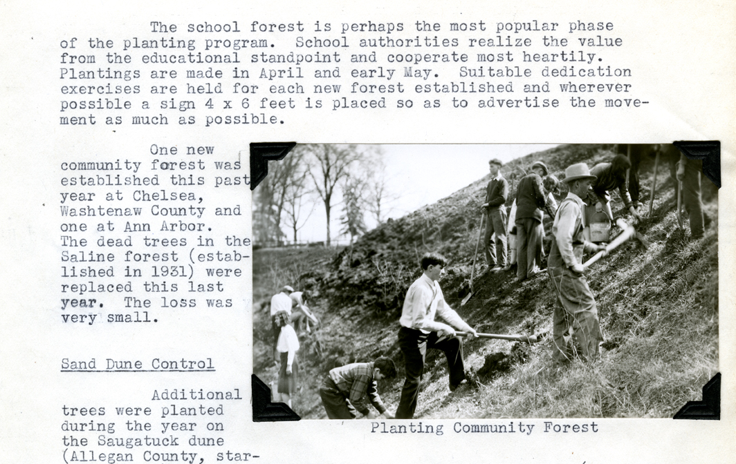 Planting a Community Forest