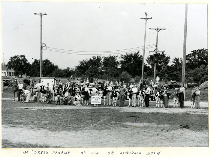 4-H Livestock Show