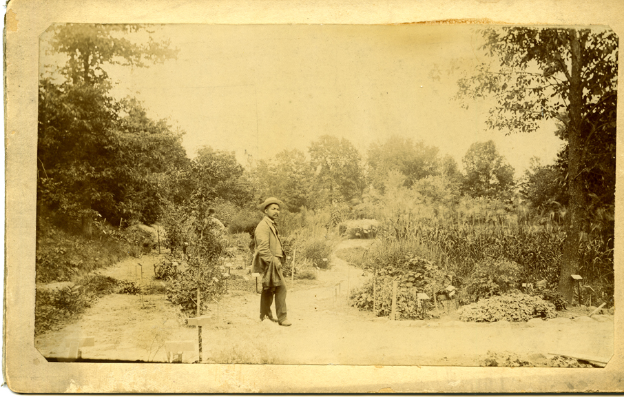 Koli Sau Thabue in garden
