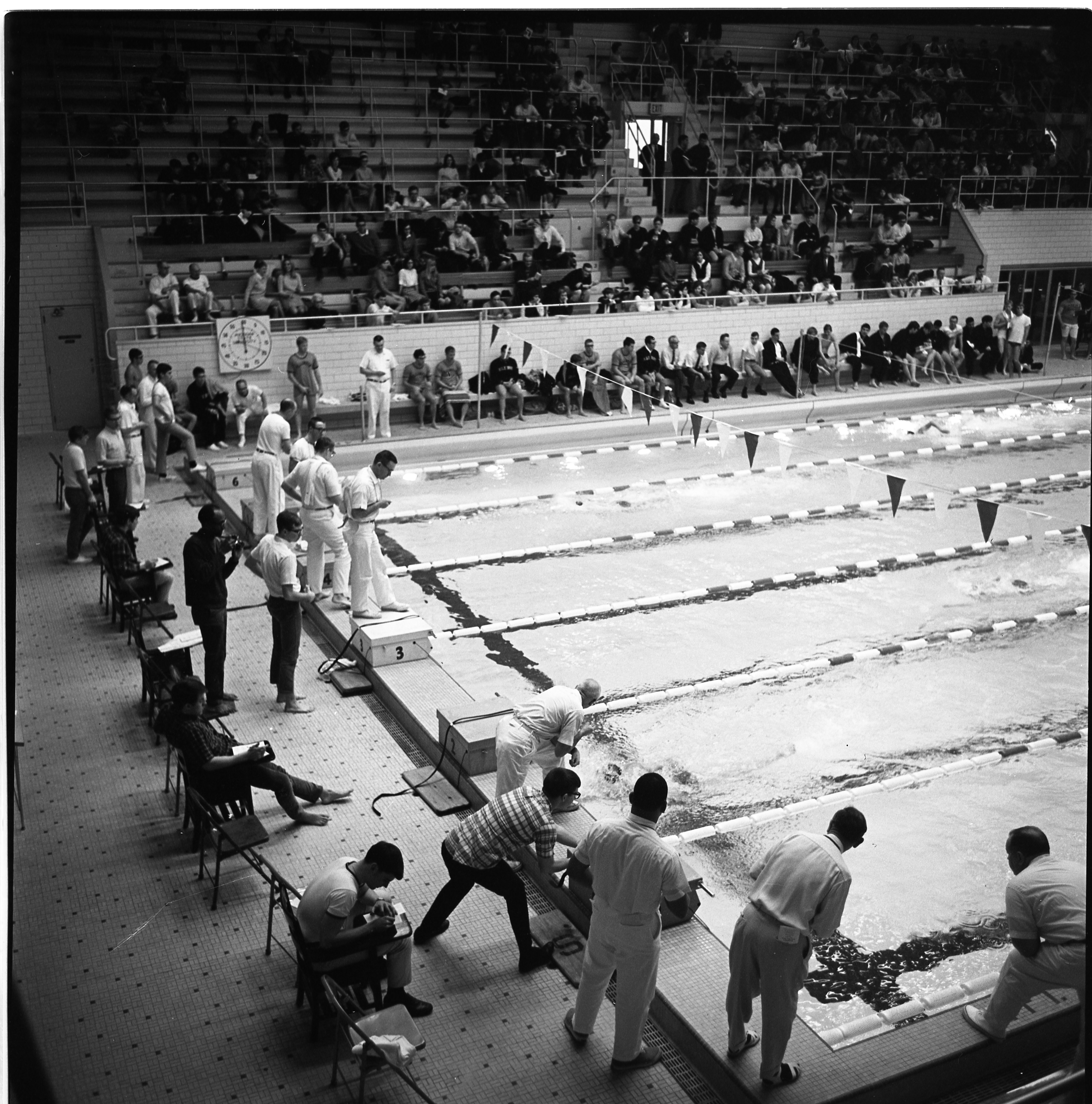 MSU vs. ILL vs. Ohio Swim Meet Action Shot
