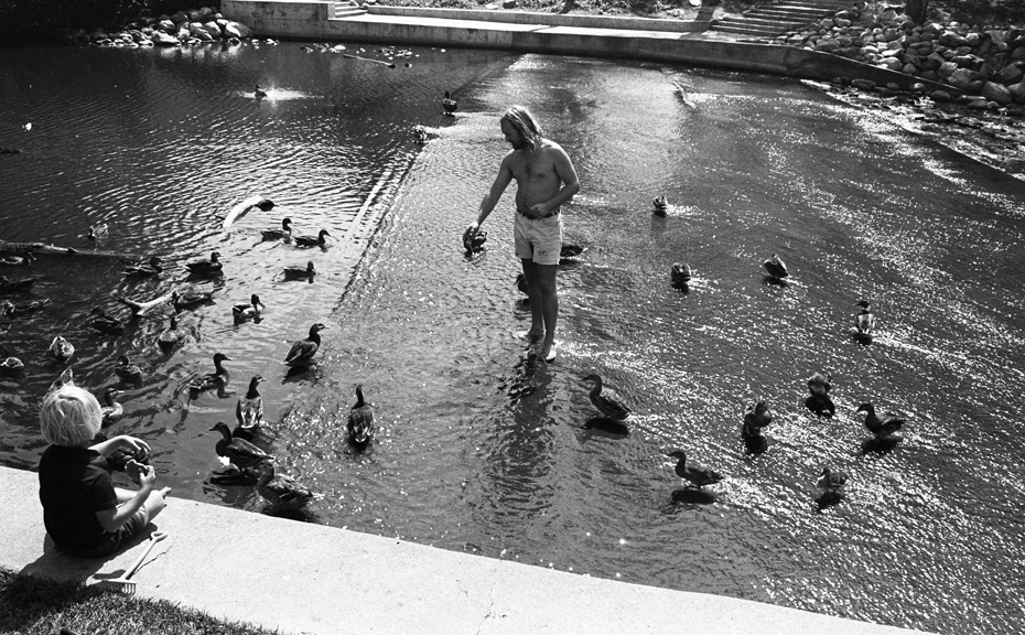 Students feeding ducks behind the Administration Building