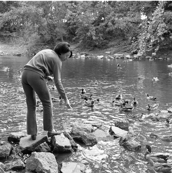 Woman feeds ducks on the Red Cedar River