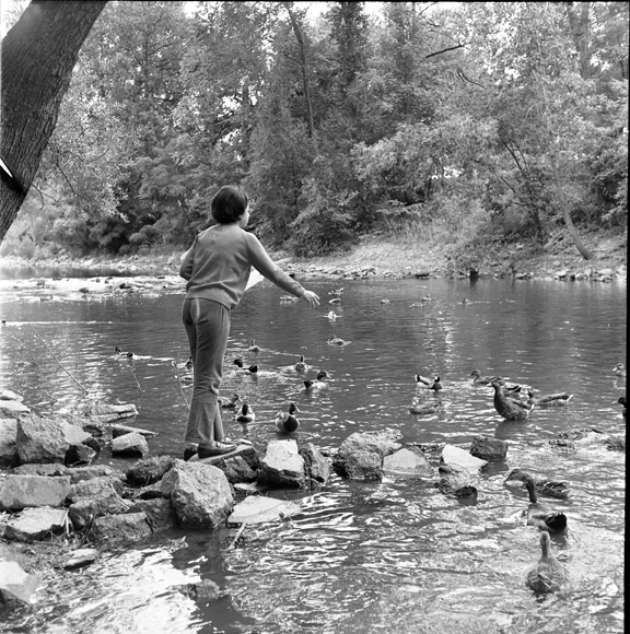 Woman feeds ducks on the Red Cedar River