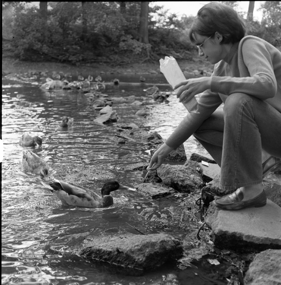 Woman feeds ducks on the Red Cedar River