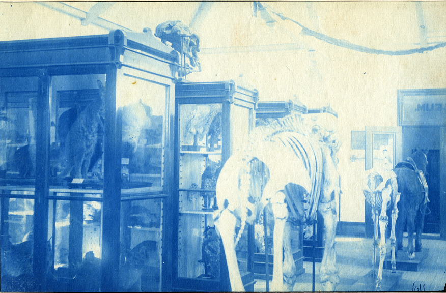 07.  Interior view of Museum, circa 1888.