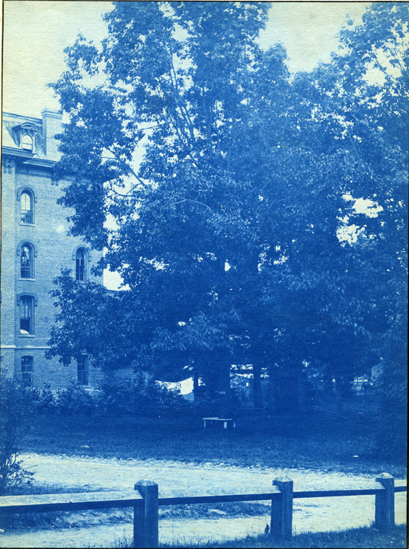 50. Williams Hall and trees, circa 1888.