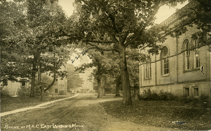 Outdoor scene of campus