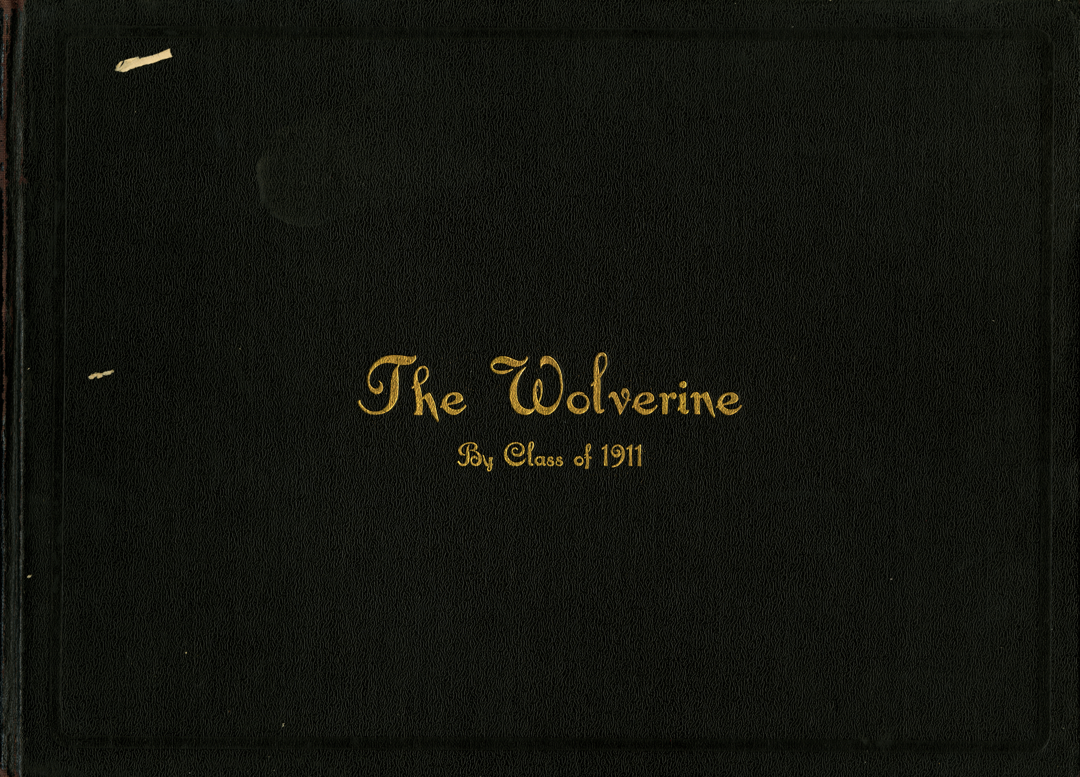 MSU Yearbooks, 1910-1919