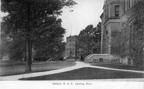Unidentified M.A.C. buildings