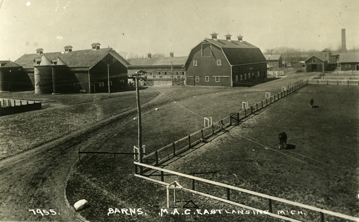 M.A.C. farm buildings