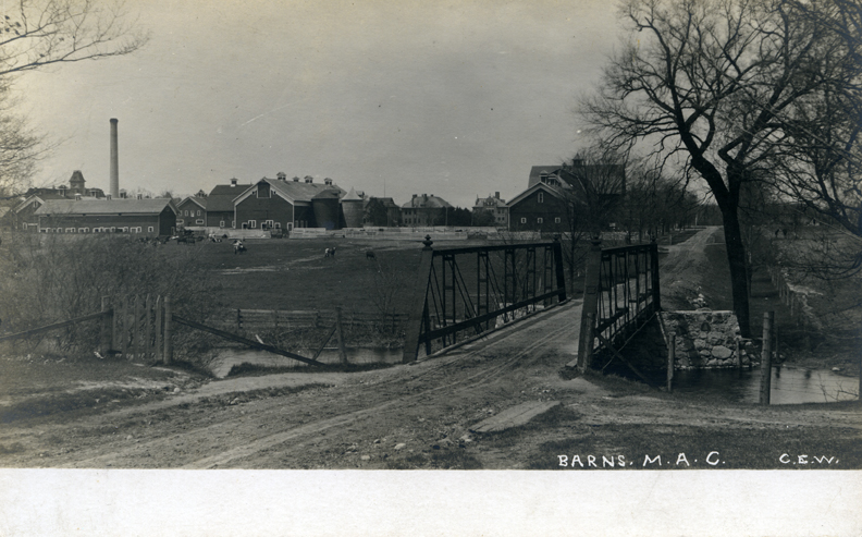 Farm Lane bridge and farm buildings