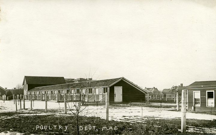 Poultry buildings
