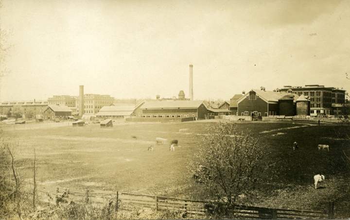 Farm buildings and livestock