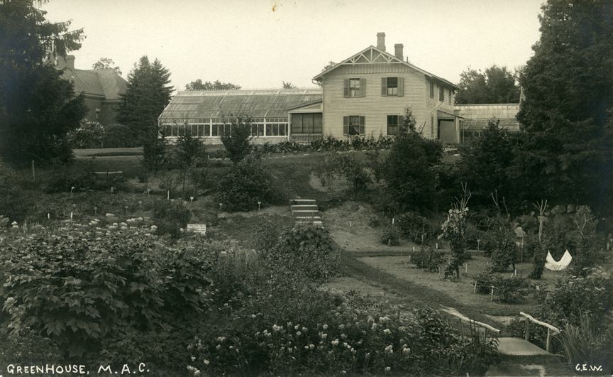 Greenhouse and garden