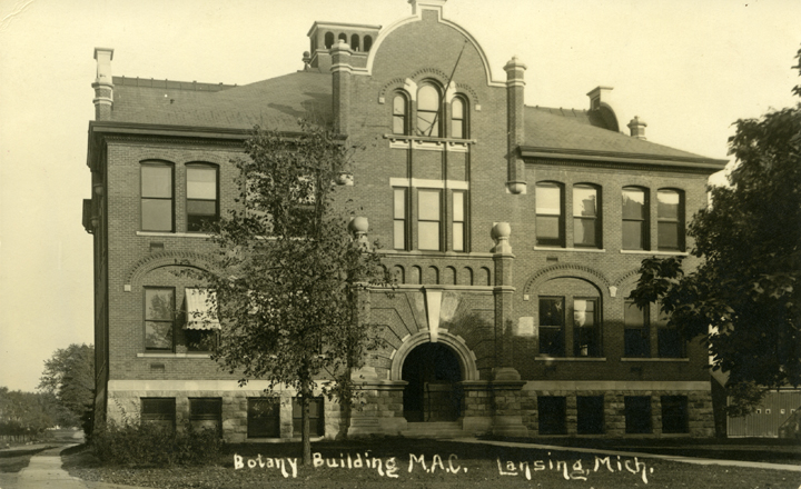 Bacteriology (Marshall Hall)