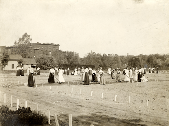 Women Working in a Field
