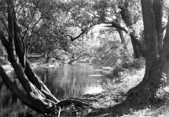 Red Cedar River