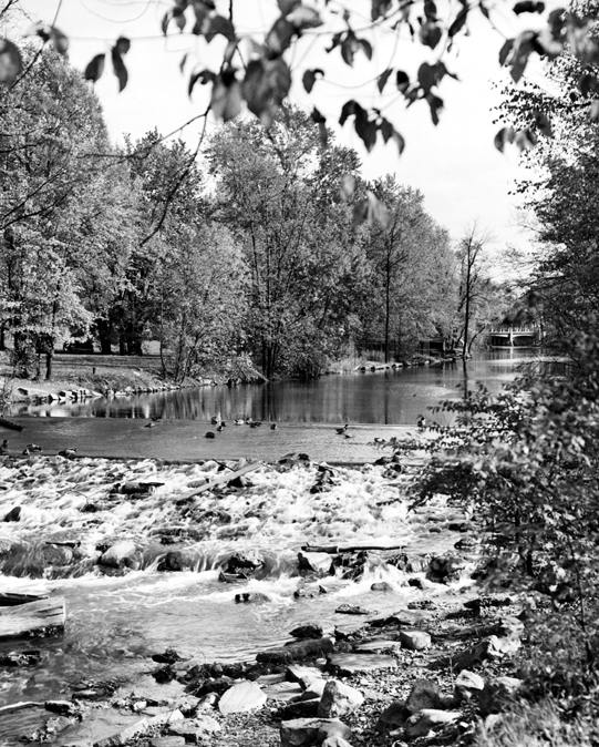 Red Cedar River Rapids