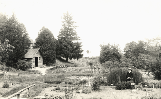 Dr. Beal in the Botanical Gardens