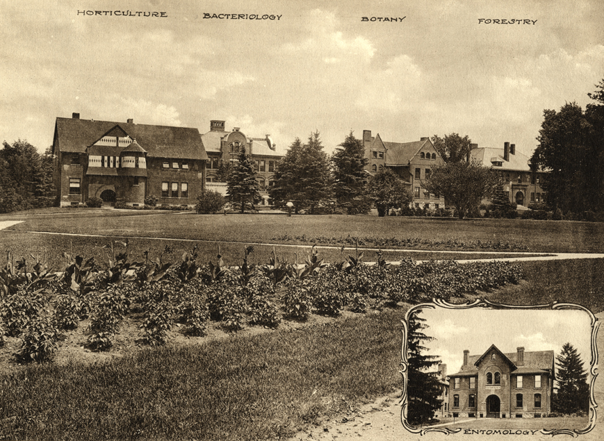Agricultural Buildings
