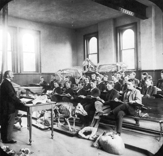 Veterinary Medicine Class