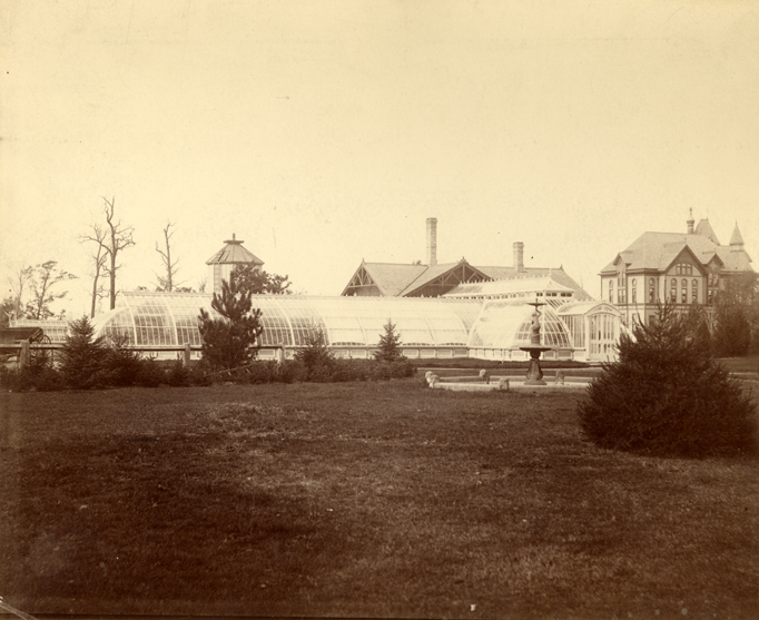 Fountain in Front of the Greenhouse, 1884
