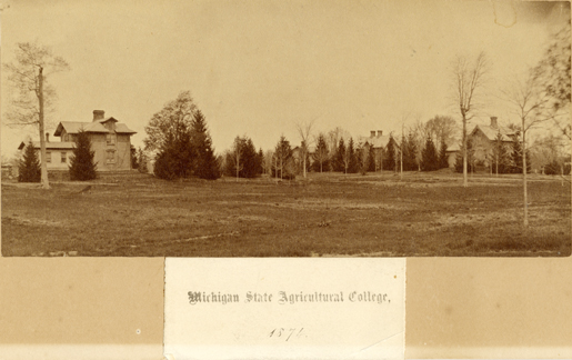Faculty Row, 1874