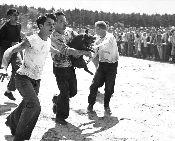 A student carries a pig during class rivalries, 1948