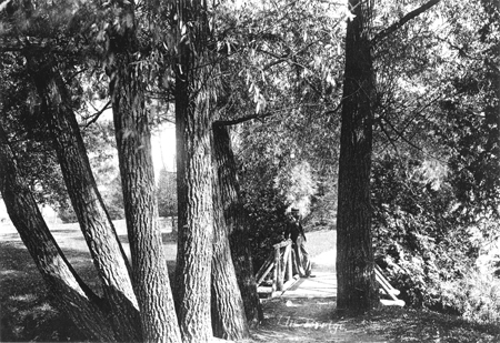 Footbridge across the Willows, 1896-1897