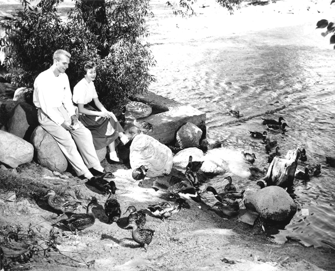 Feeding ducks