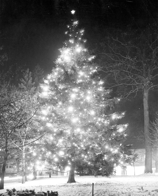 Christmas Tree in Front of the Union