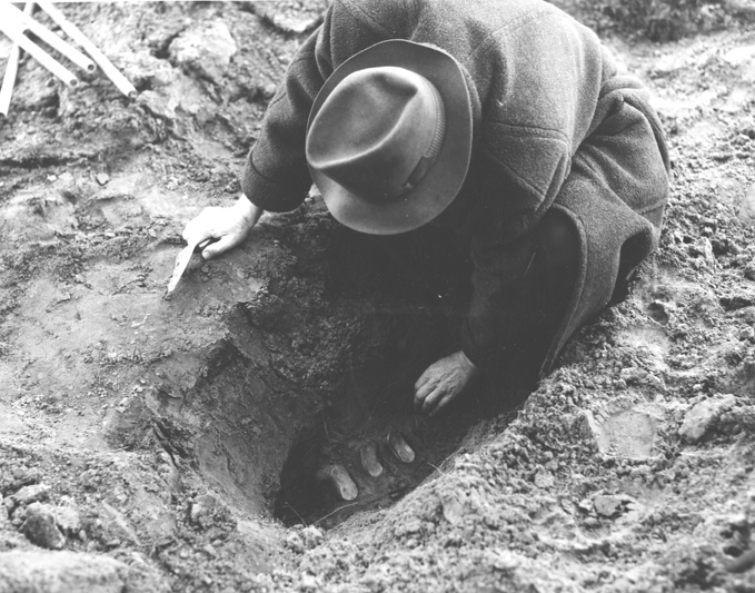 Henry Darlington unearths seeds in bottles as an experiment, undated