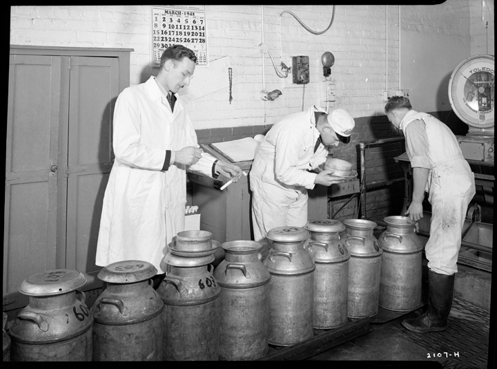 Men with Dairy Equipment