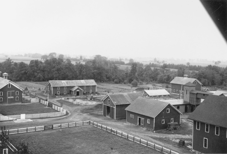 Barns at MSU