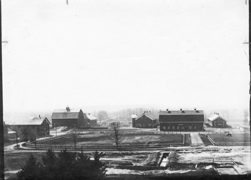 An aerial view of campus barns, 1908