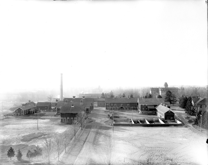 Campus buildings around the smokestack, 1906
