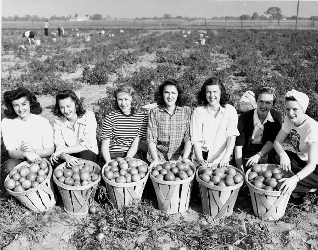 Women's land army at Victory Gardens