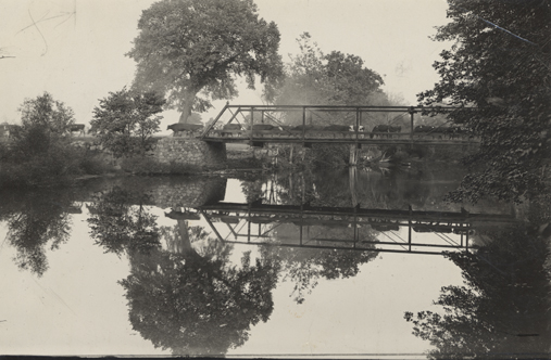 Cows crossing the bridge at Farm Lane.