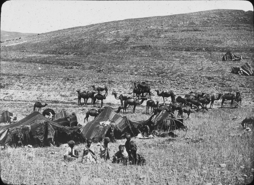 Rural Algerian mountain scene with camels and and tents, undated