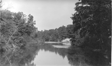 Dunbar Forestry station, date unknown