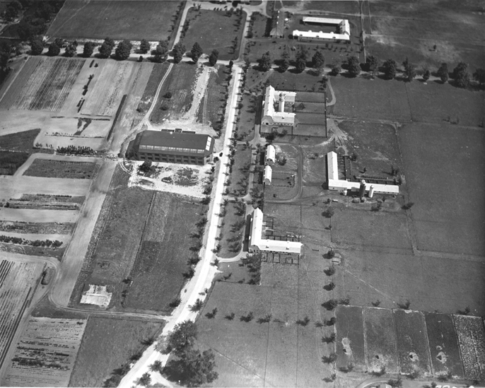 The Livestock Pavillion, 1939