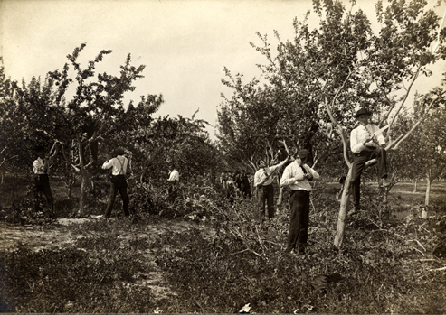 Agriculture class