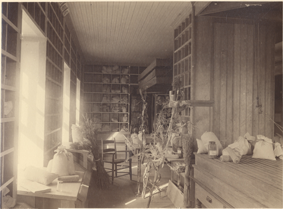 Experiment station seed room, date unknown