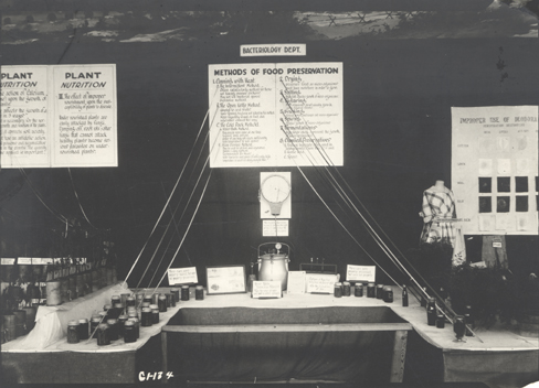 Bacteriology Department exhibit, date unknown