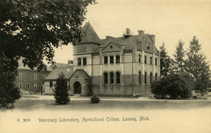 The Veterinary Laboratory, date unknown