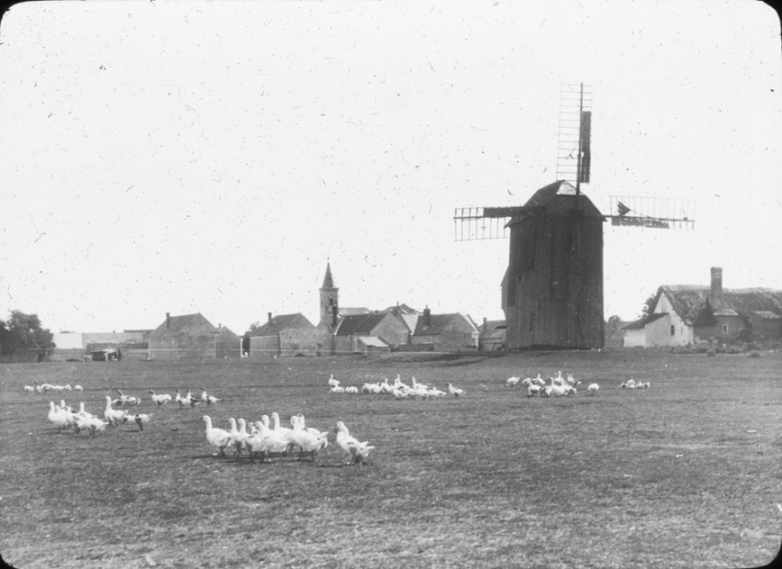 Scene of windmill with geese and town in Austria, undated