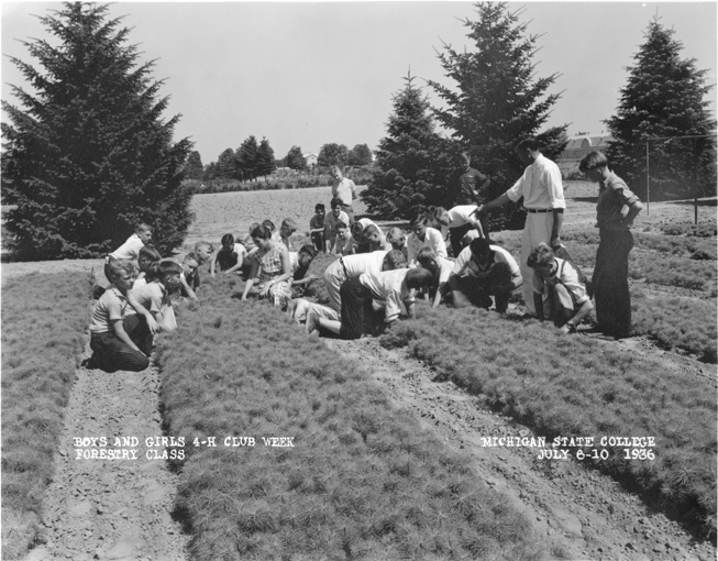 Children in 4-H work on seedlings, 1936