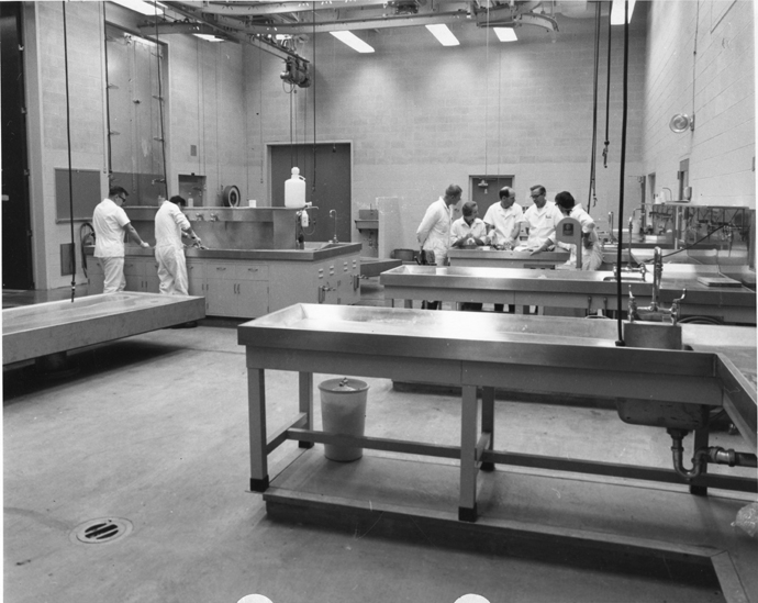 Veterinary students perform examination, date unknown