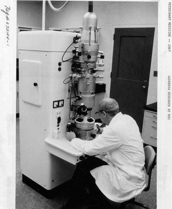 A man does leukemia research, 1967