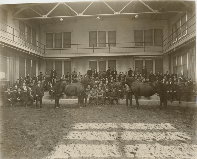 An animal husbandry class observes two horses, 1912